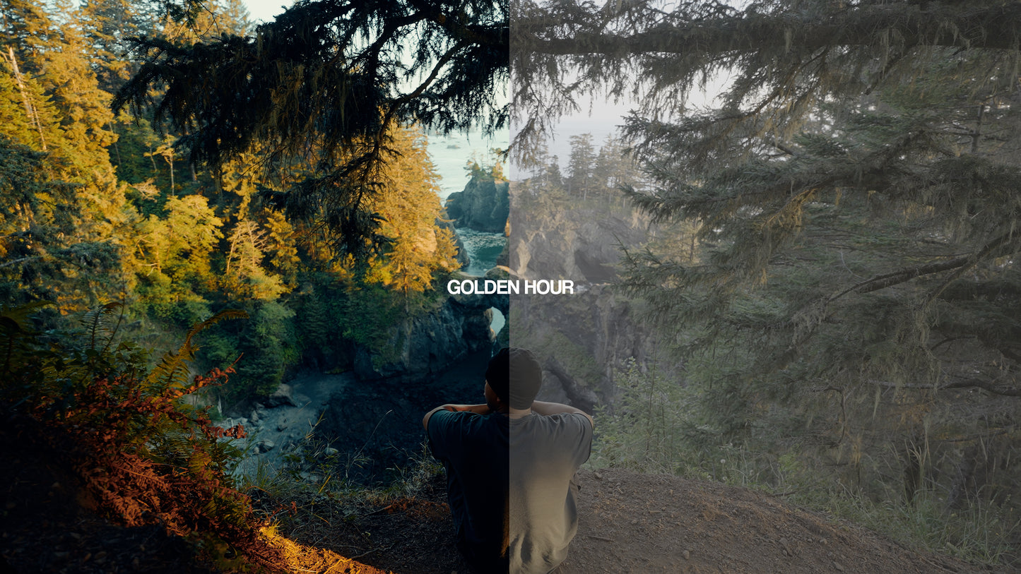 ESSENTIALS Lut Collection