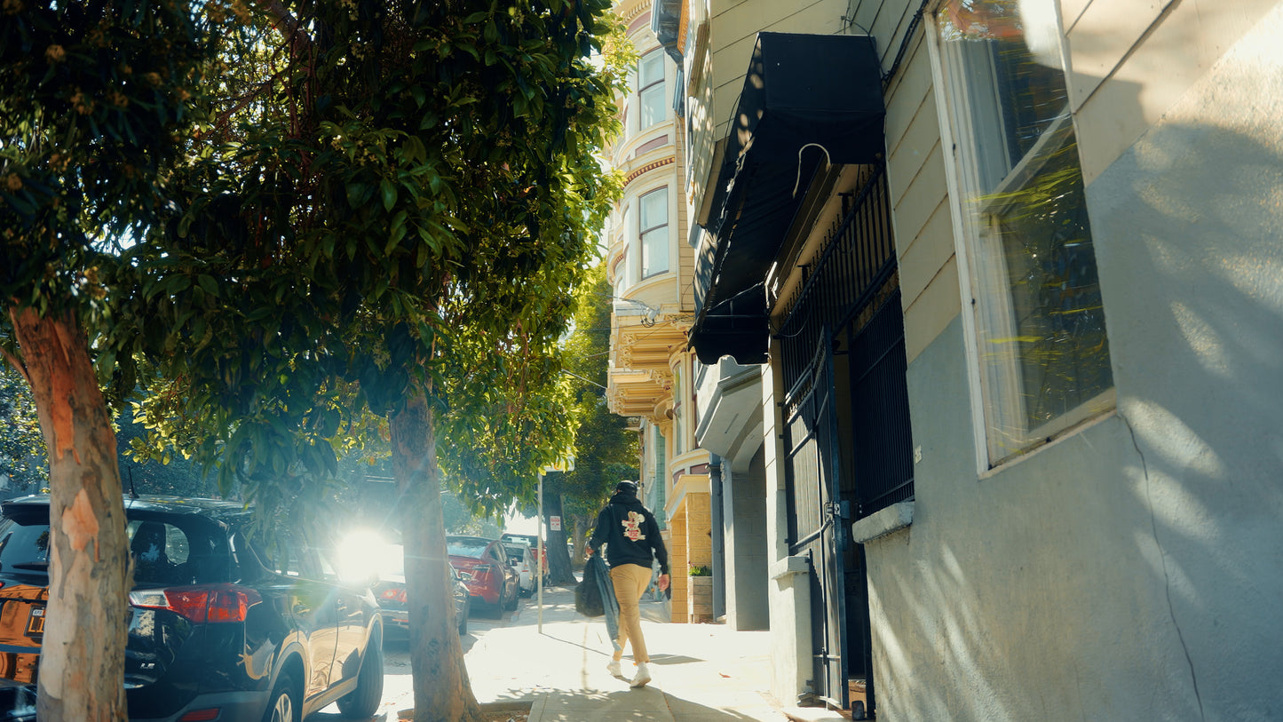 MIDDAY SUN Lut