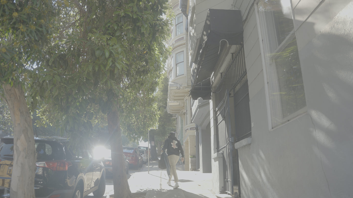 MIDDAY SUN Lut